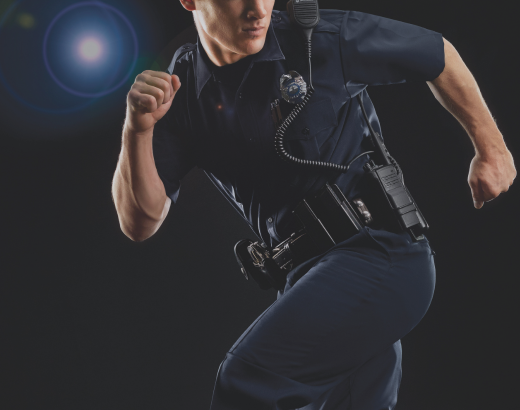 Horace Small Sentry Plus