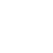 Terra Findlay 6 Inch Safety Boot- R5205B